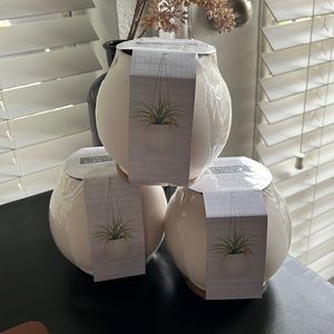 Set of 3 Hanging Plant Kits